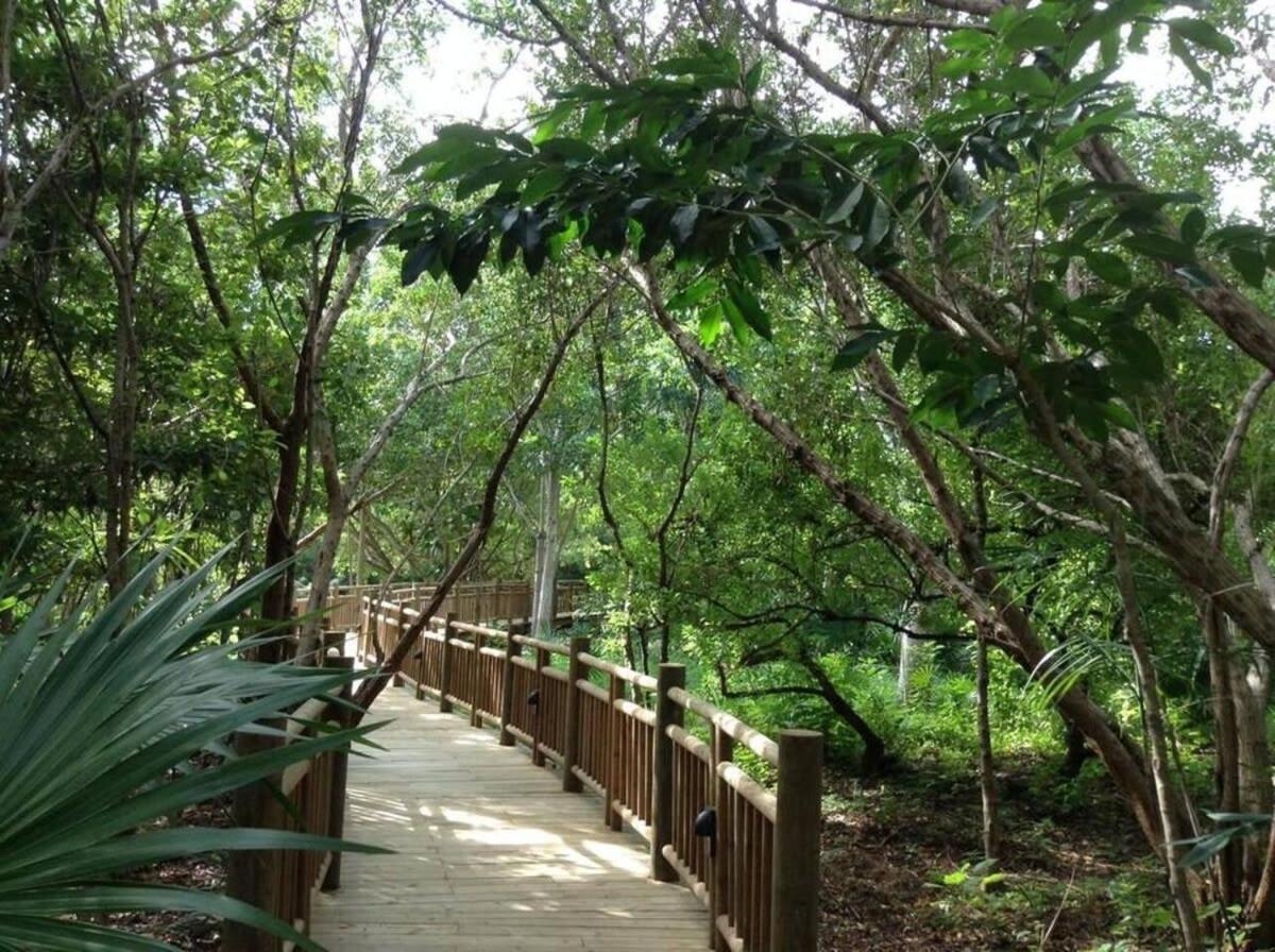 2bd Grand Bliss Vidanta Riviera Maya Сasa de vacaciones *